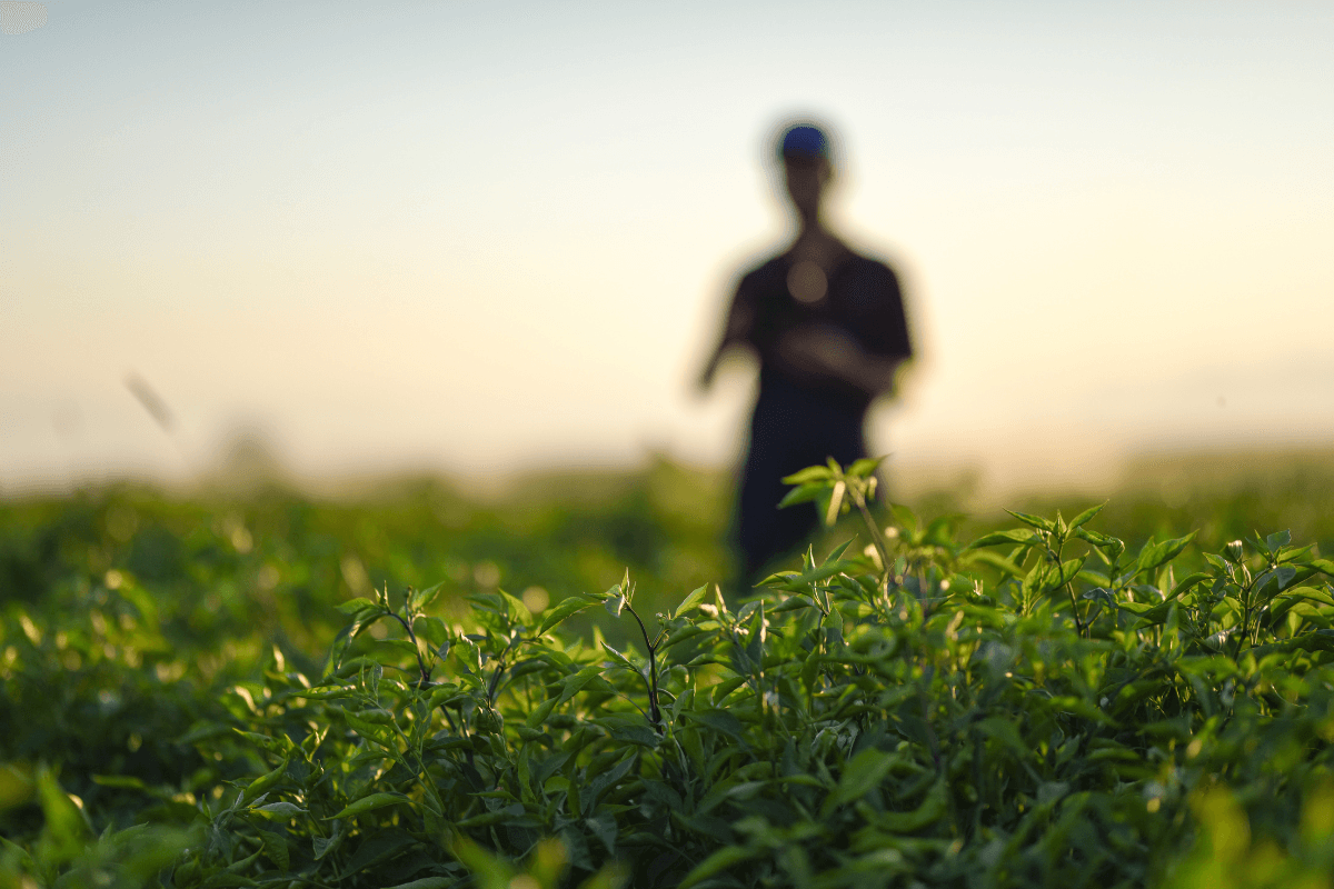 Cost-Effective Solutions