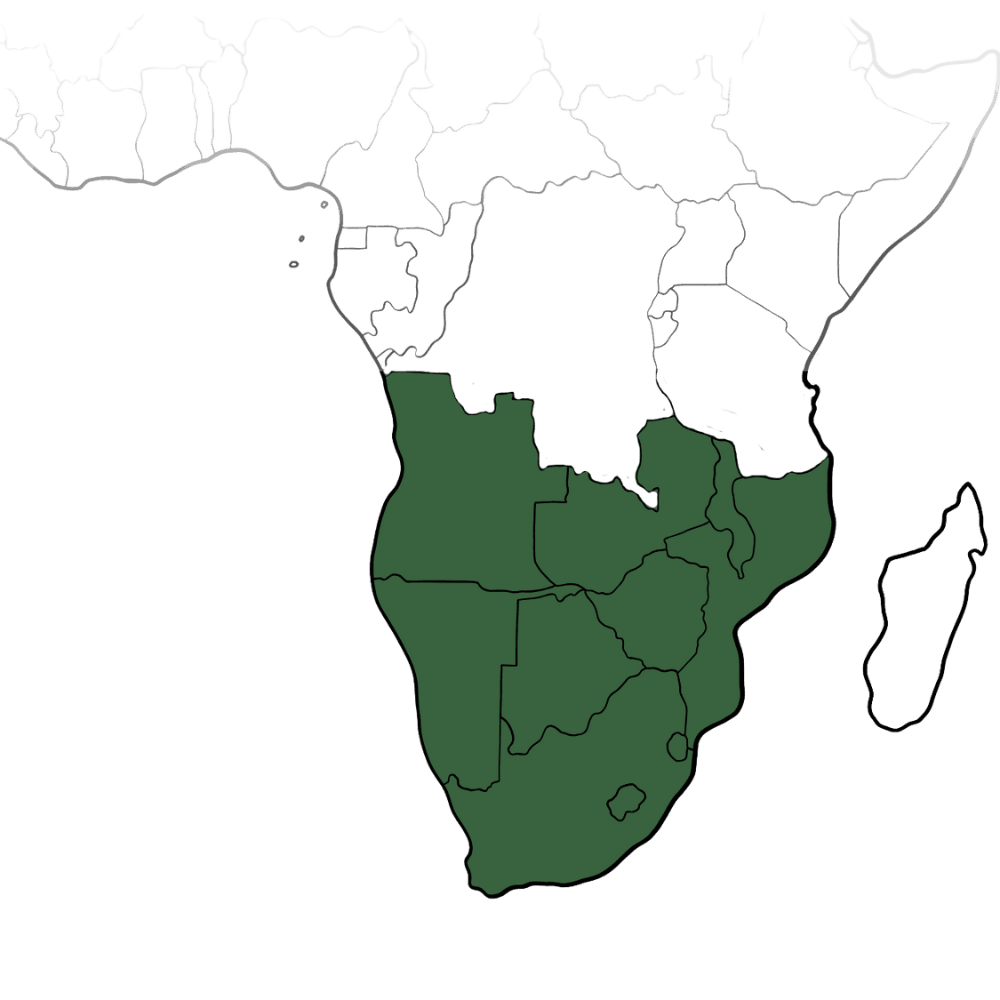 Map of Kuvimba's operational reach across Sub-Saharan Africa