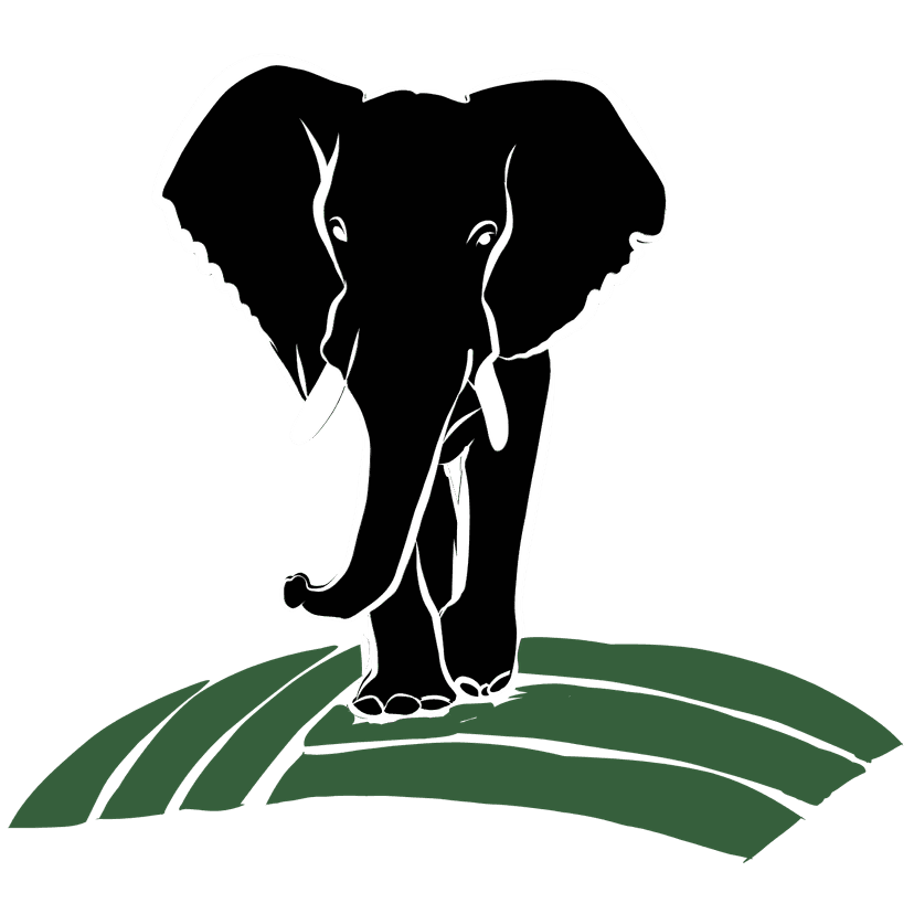Kuvimba Elephant Logo